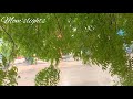 Hot Tea With Spb Songs Rainfall Ramnad Without Audio Filters Shorts