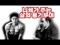 니체가 주는 동기부여