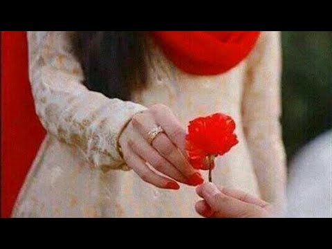 Tu ishq ke saare rang de gaya WhatsApp status video