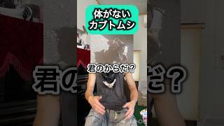 体がないカブトムシ #エアロピクルス #djembejoji #ジャンベジョージ