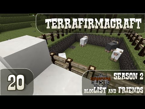Minecraft Terrafirmacraft - Season 2 Multiplayer - Ep 20 - More Decorations