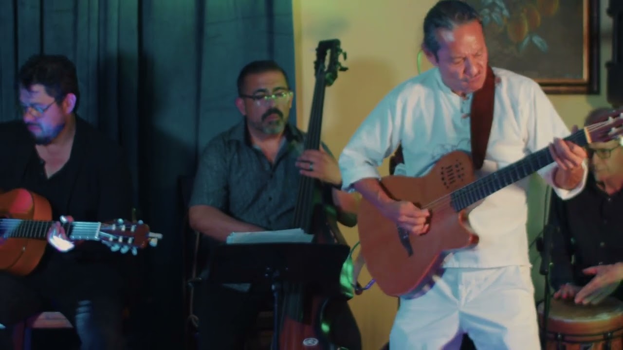 Promotional video thumbnail 2 for Toro Flores