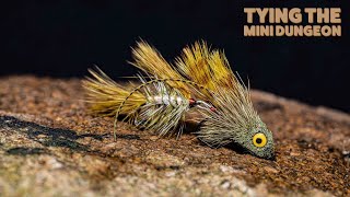 Mini Dungeon (Kelly Galloup Streamer)