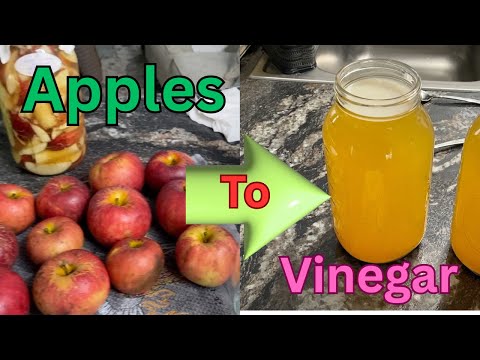 How to Make Apple Cider Vinegar at Home from Start to Finish