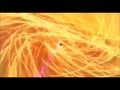 Hoopa Unbound Vs Arceus