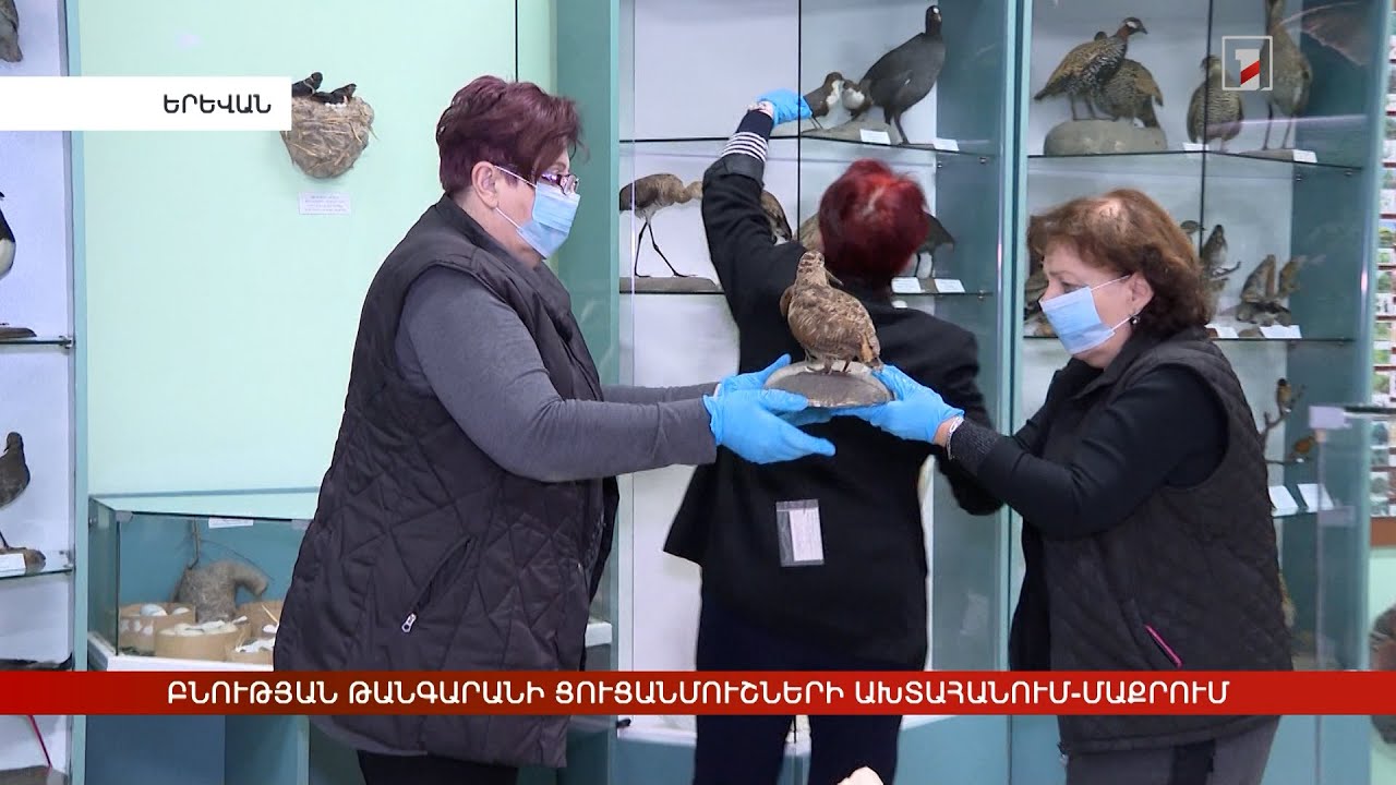 Բնության թանգարանի ցուցանմուշների ախտահանում-մաքրում