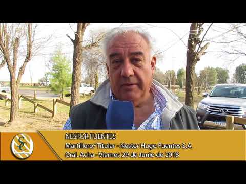 29-06-18 Nestor Fuentes - Martillero/Titular - Nestor Hugo Fuentes S.A. - General Acha
