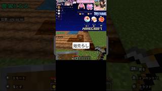 味方に荒らされると思ったら犯人、自分でした🌾😇#マイクラ #Minecraft #畑 #やらかし #ネタ動画 #おすすめ #fyp