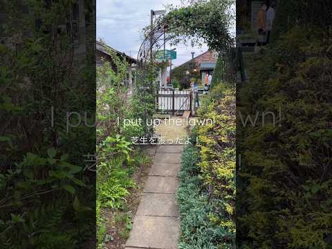 菜園や芝生に大きな白い虫が？それらを取り除き、植物を救う方法は次のとおりです。  庭園