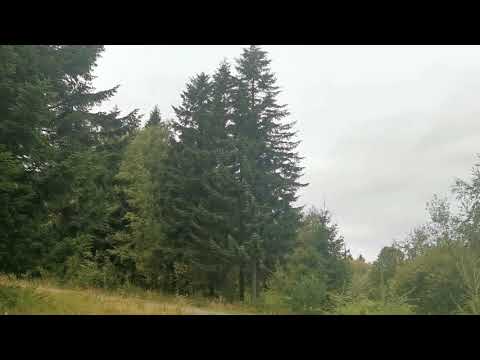 Krynica Zdrój 30 ar