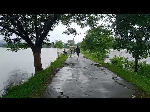 chi gasuean daljok dalde