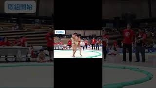 2026わんぱく相撲大田区大会⑤
