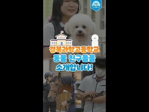 [맛쿨멋쿨TV] 알쓸경잡 경북과학고등학교를 동물 친구들을 소개합니다! #shorts