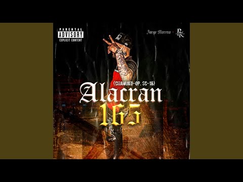 ALACRÁN 165 (Chamuko-OP.SC-18)