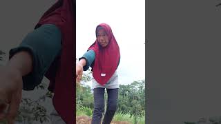 Download lagu seketbor sunda || si euceu nyarekan mp3