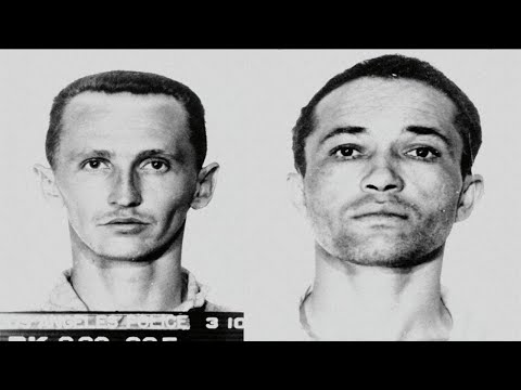 The Traffic Stop That Became a Police Nightmare