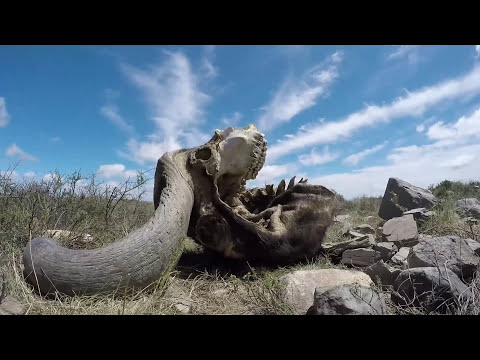 Mountain Zebra National Park