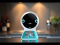 Pillo - Your Personal Home Health Robot