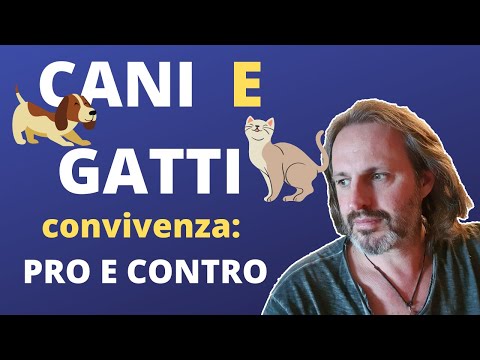 , title : 'Cani & Gatti - Convivenza - Pro e Contro'
