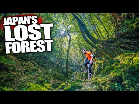 走進日本被遺忘的森林 (Inside Japan's Forgotten Forest)