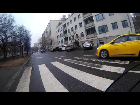 A zebra életveszélyes vagy a sofőrök??