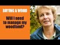 Buying a Wood: Will I need to manage my woodland?