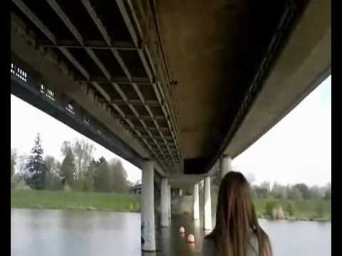 Official Tauben Film