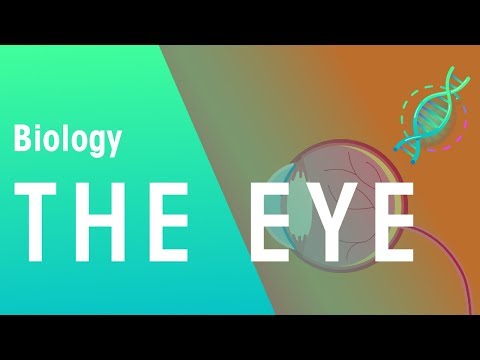 The Eye | Physiology | Biology | FuseSchool