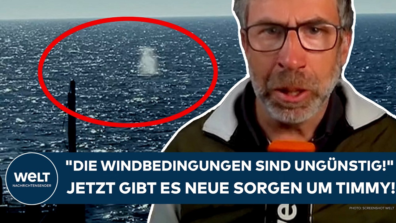 WAL IST IN FREIHEIT: "Die Windbedingungen sind ungünstig!" Jetzt gibt es neue Sorgen um Timmy!