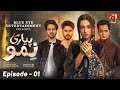 Pyari Nimmo Episode 01 | Hira Khan - Haris Waheed - Asim Mehmood - Erum Akhter | Geo Kahani