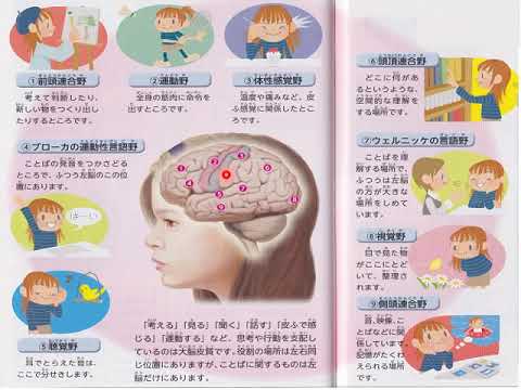 教育福祉学科 07 精神神経系の疾患① 総論