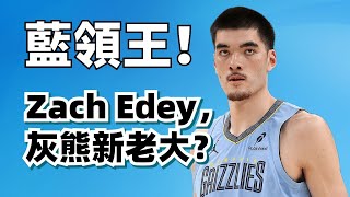[情報] 今日Zach Edey 周志豪 生涯新高32分