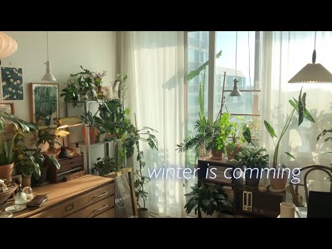, title : 'sub)초보 식물집사를 위한 겨울철 식물관리! 월동준비는 이렇게 하면 돼요🙌🏻'
