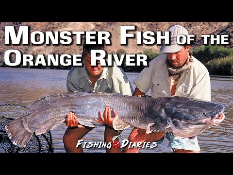 Fishing for Monster fish in the the lower Orange River, Southern Africa