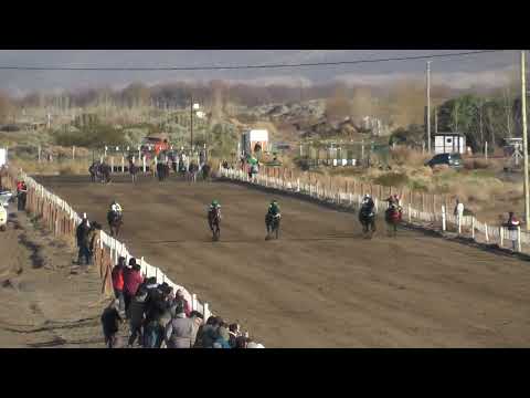 PULGA  Club Hípico Añelo - Añelo - 16-07-2023