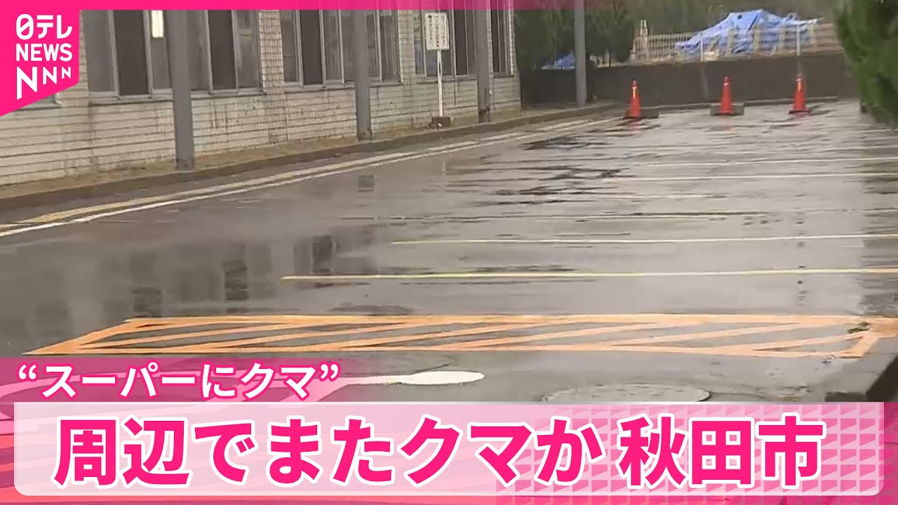 【クマ】居座りのスーパー周辺で…また“クマ”目撃  警戒を強化  秋田市