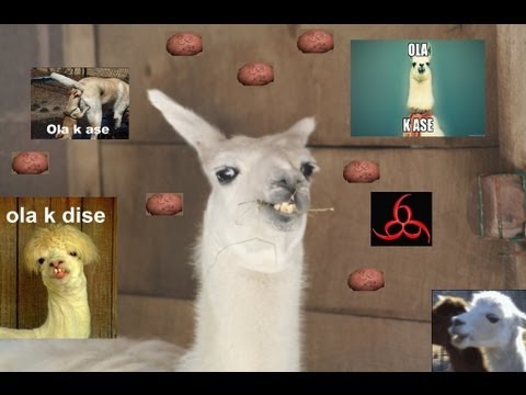 CiraGalvan’s Video 19200727250 GfmmiP3zz8g