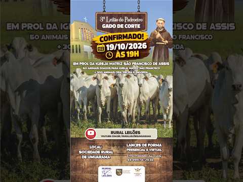 LEILÃO AO VIVO / UMUARAMA - PR  19-10-2026 (LANCES 44-99976-2930)
