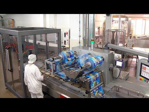 День шоколада гомельские школьники отметили посещением фабрики "Спартак" видео