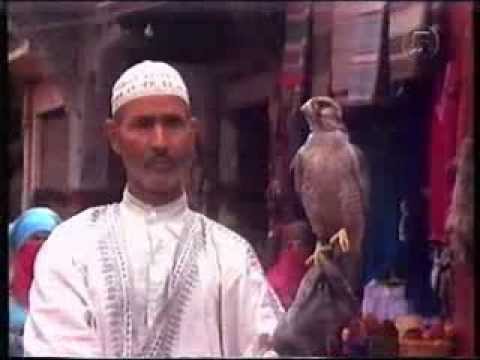 Kanal 5: Fantastiskt! - Ormtjusare i Marocko (1996) Cloetta