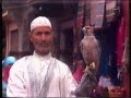 Kanal 5 Fantastiskt Ormtjusare I Marocko 1996 Cloetta