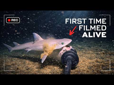 I Dropped a Camera to the Bottom of Bali's Black Magic Island