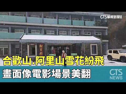 合歡山.阿里山雪花紛飛　畫面像電影場景美翻