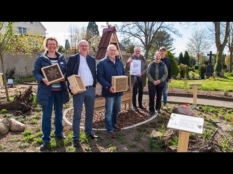 Wildbienenpark auf dem Marienfriedhof in Herford