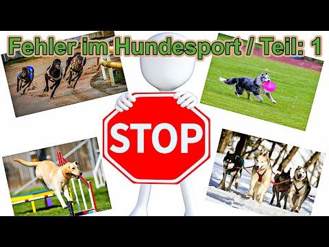 Fehler im Hundesport Teil: 1 / Zughundesport / Hundetraining / Nature Trails