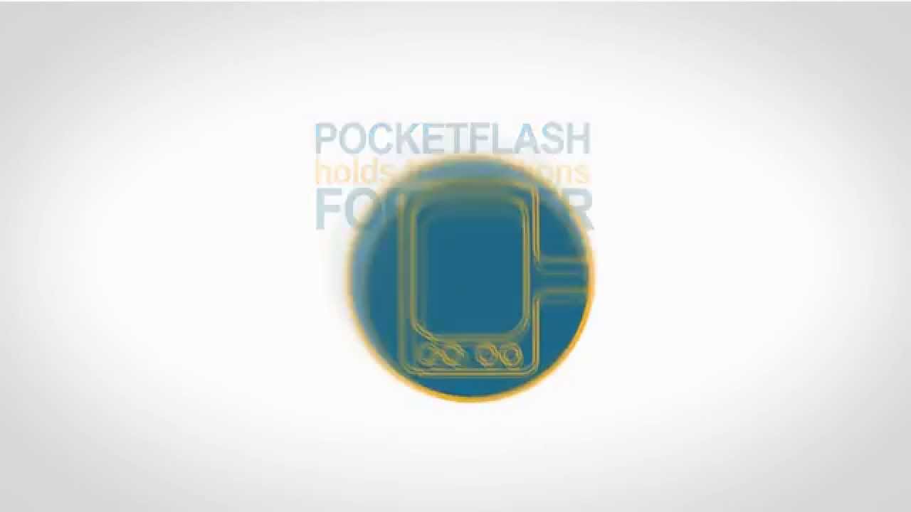 DPS, Inc. PocketFlash: Mobile and Pervasive Computing