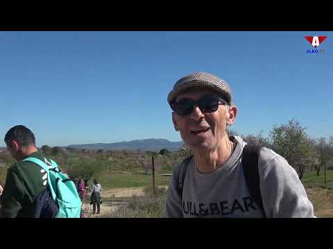 V Feria del almendro