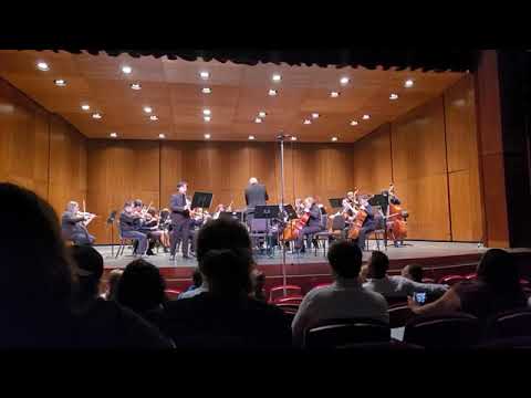 Concerto No 1 Op 73 in F Minor for clarinet Carl Maria Von Weber (1786-1826)