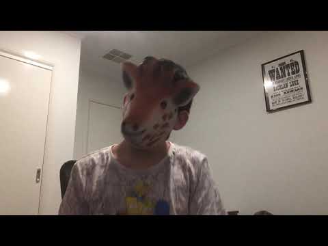 Giraffe dancing video (Bang! By AJR)