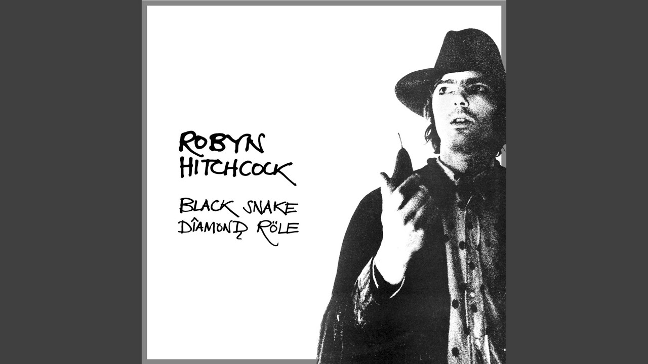 Robyn Hitchcock - Do Policemen Sing?